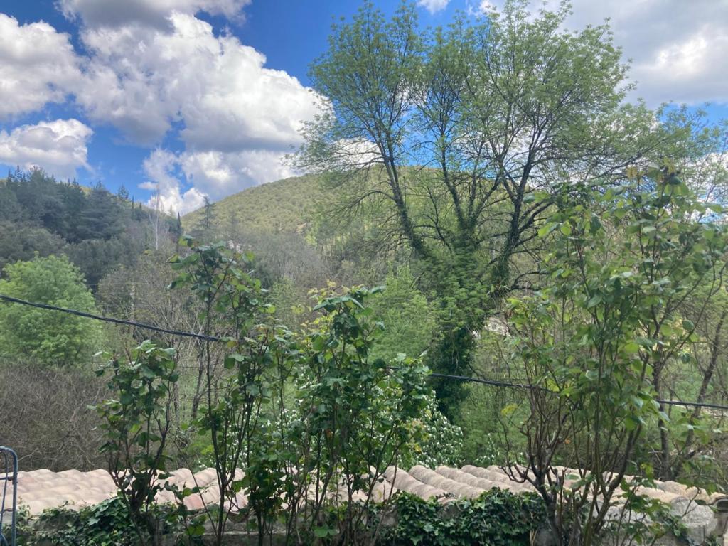 Chambres Et Gite En Cevennes Cros  Екстериор снимка